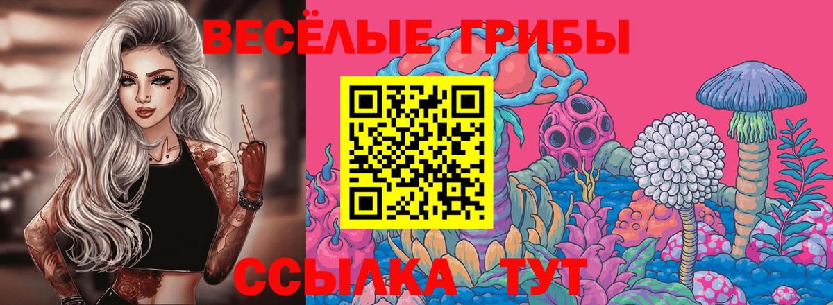 Коммунар  Псилоцибиновые грибы мухоморы  Вход с VPN 
