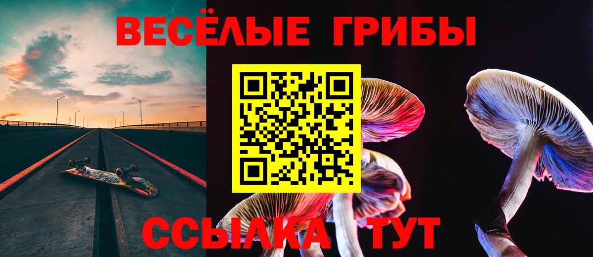 Псилоцибиновые грибы Cubensis Коммунар